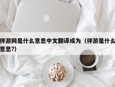 伴游网是什么意思中文翻译成为（伴游是什么意思?）