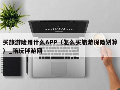 买旅游险用什么APP（怎么买旅游保险划算）_陪玩伴游网